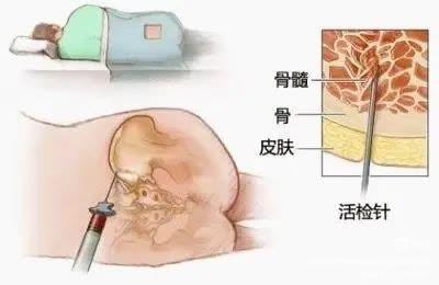 微信图片_20230424150201.jpg