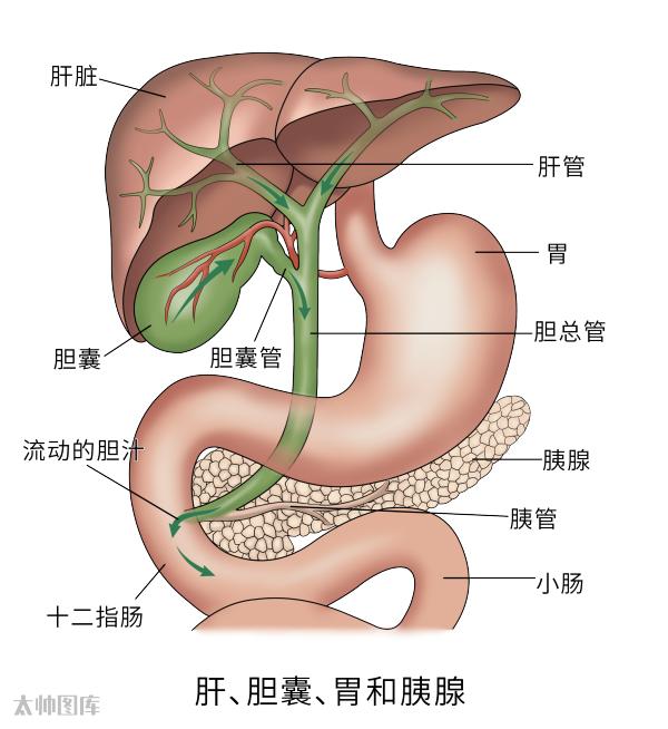 图片10.jpg