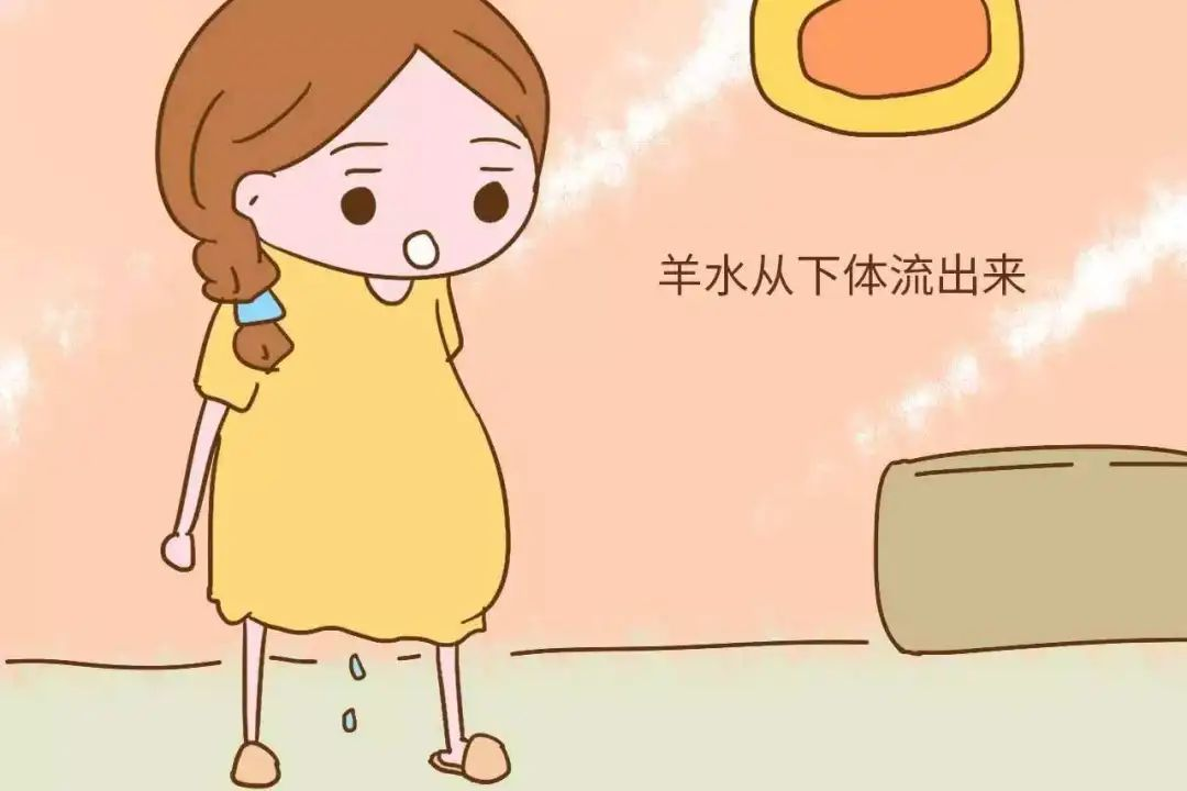 图片6.png